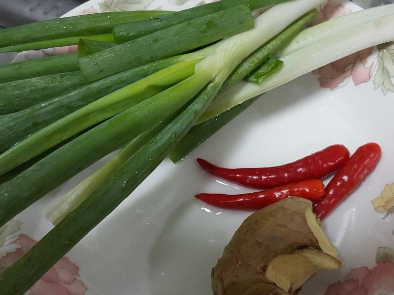 ƻ�����������ŵ�����