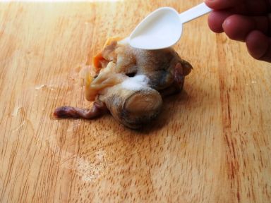 ���ݼ��� [������ʽ��ˮʳ��]������