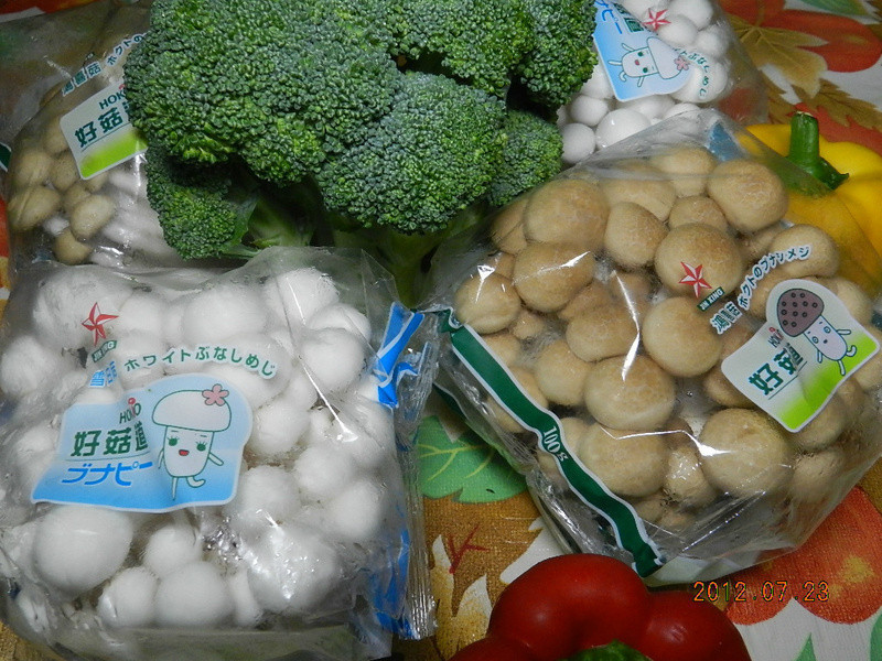 �ù�����idea~��ʽ���������ŵ�����