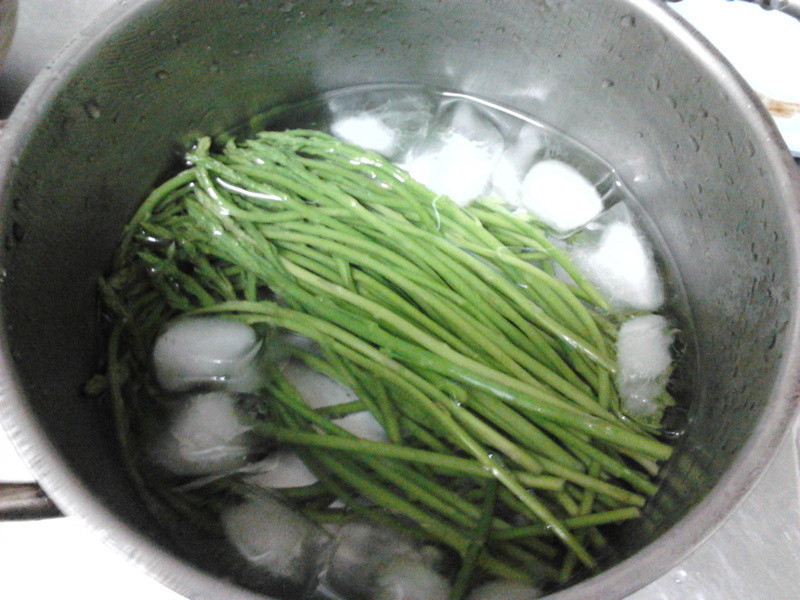 ��ʽ����«�������