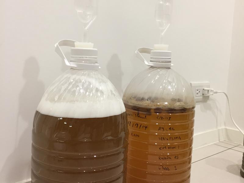 ��ͳ���۾Ƶ�����