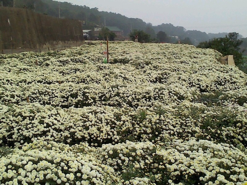 ը�����ֵ�����