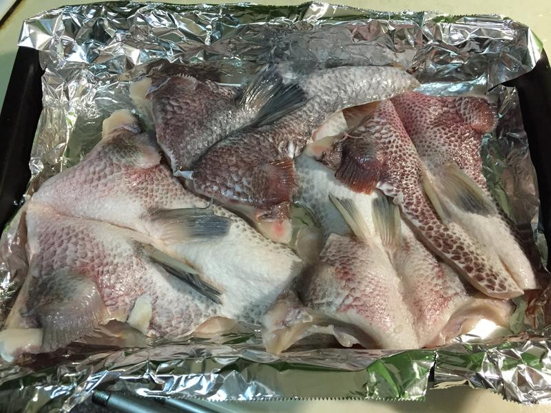 �����°͵�����