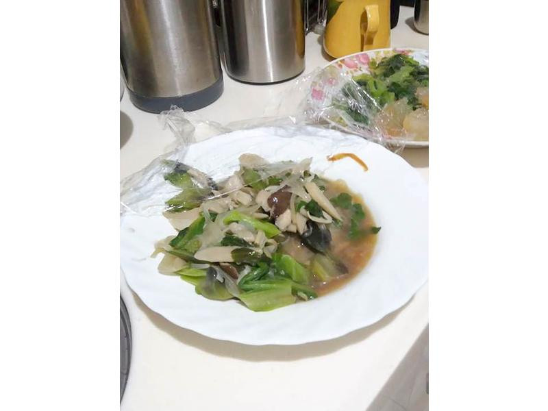 �Ϳ�����������������