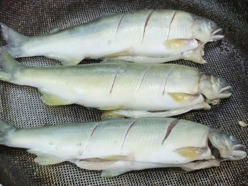 ��彷�����������