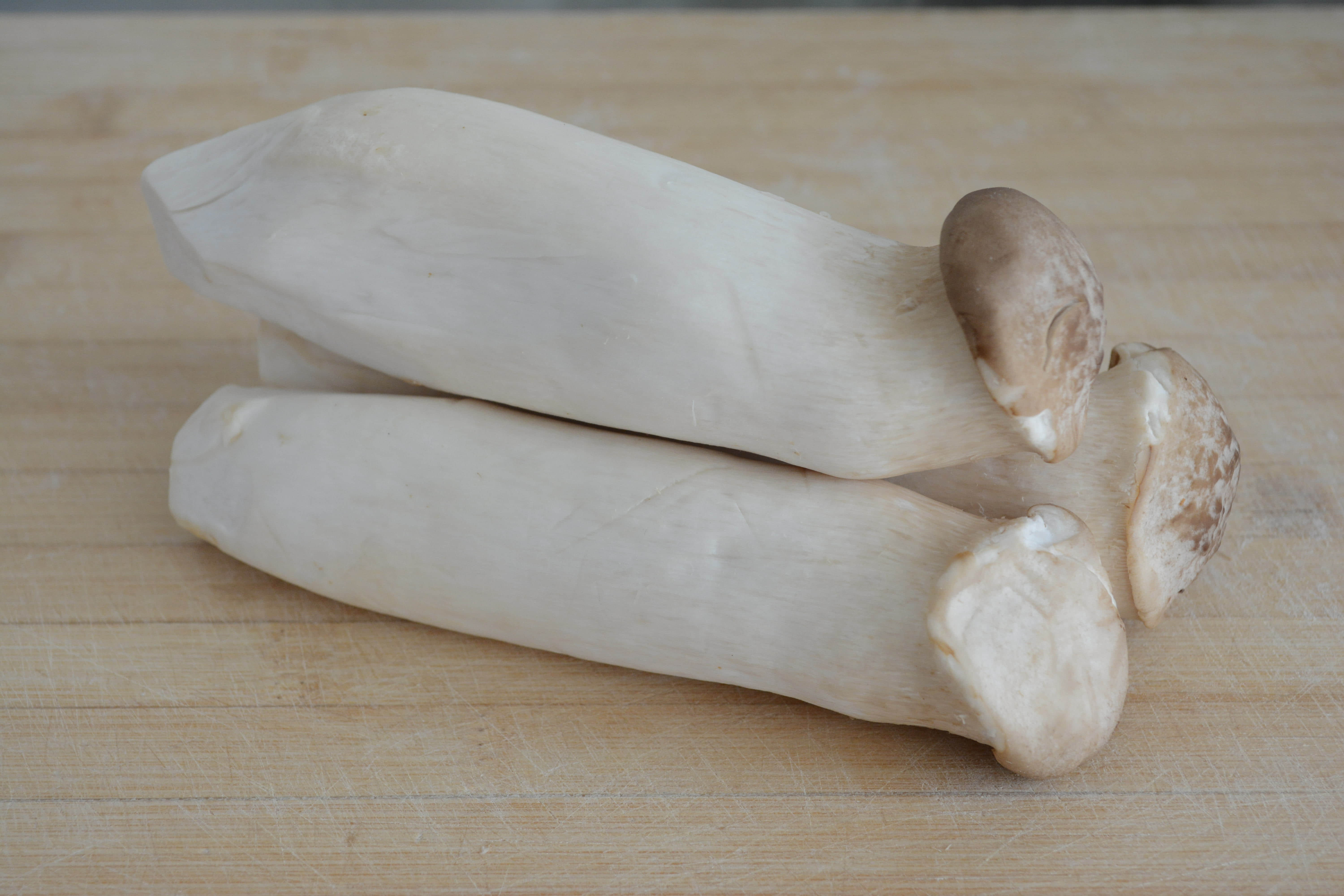 �����ӱ���������