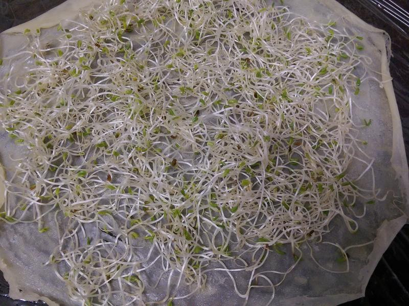 ��ޣѿ����������