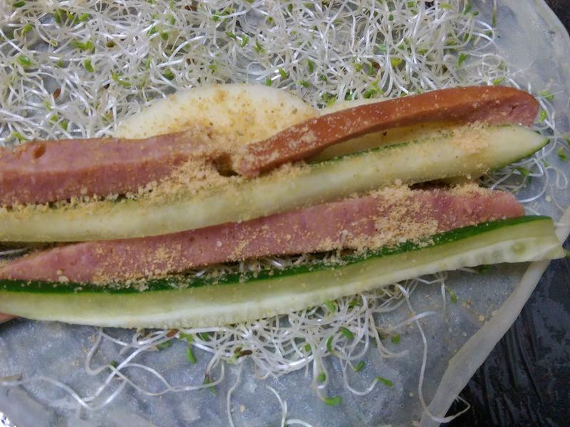 ��ޣѿ����������