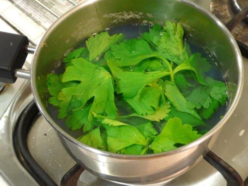 �۲�Ҷ������ ??��������1??������