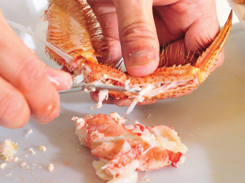 ëз���ײ������������