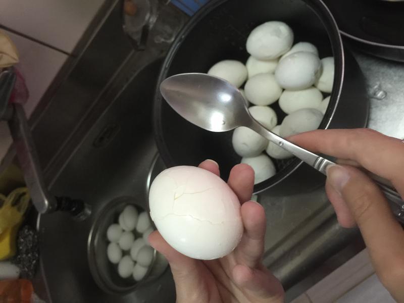 ����ζ��Ҷ��������