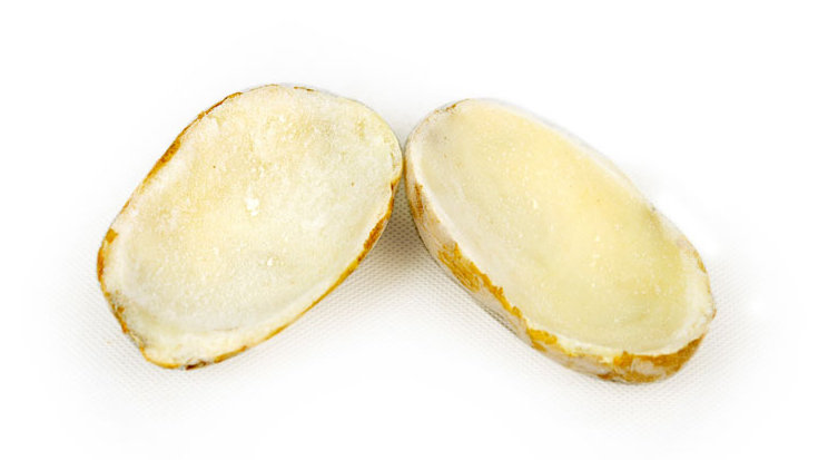 ֥ʿ���������