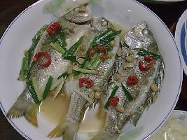 ������ǽ�������