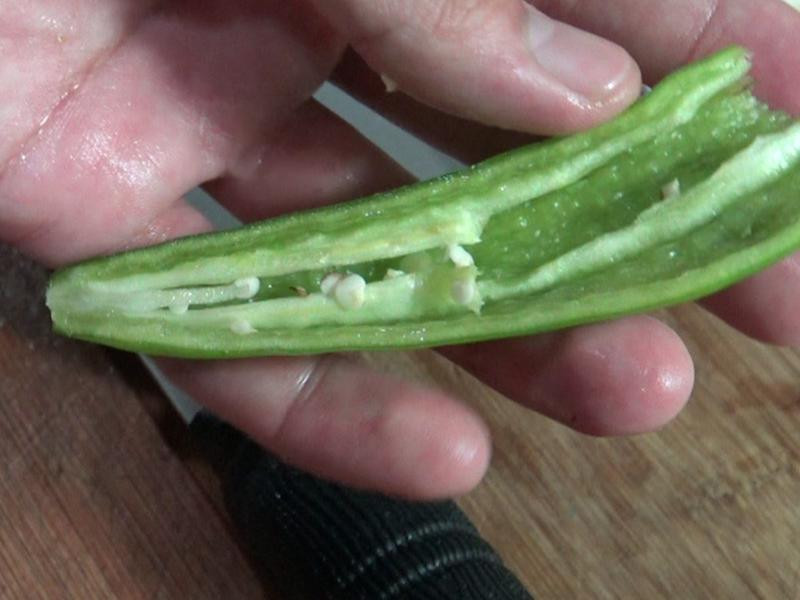 ������֭��С�ŵ�����