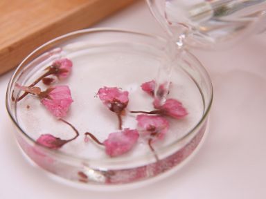 ӣ���͹��ӵ�����