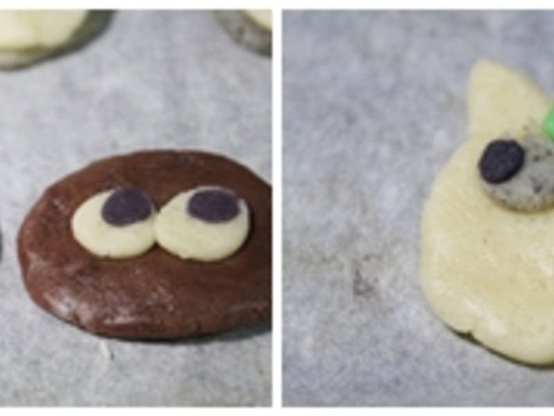 ���������硿�ɰ�����è?���ͱ��ɵ�����