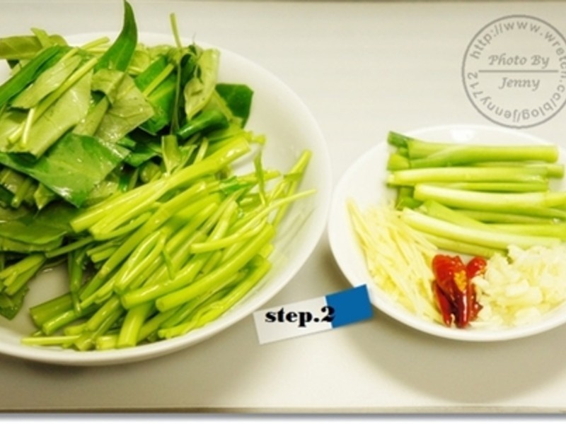 ���Ĳ˳�ɳ��ţ�������