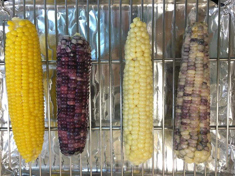 ҹ�а�ɳ�迾���׵�����