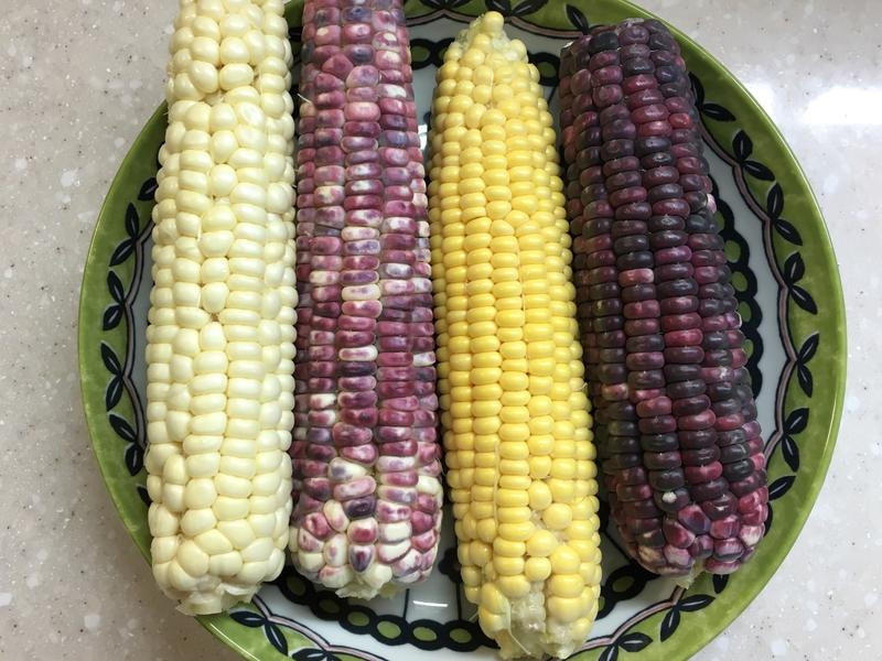 ҹ�а�ɳ�迾���׵�����