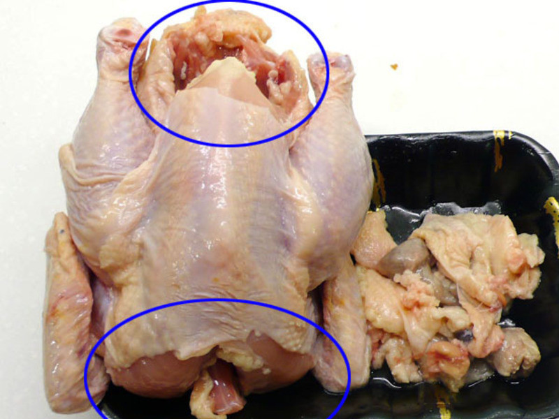 ? ɰ�����鴺�� ?  ҩ�Ź��׵�����