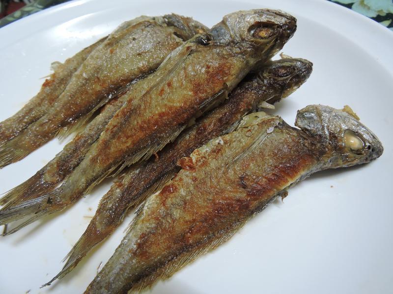 �������㡿������