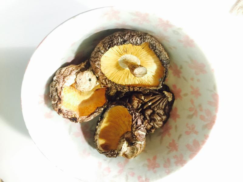 �ͽ�����������