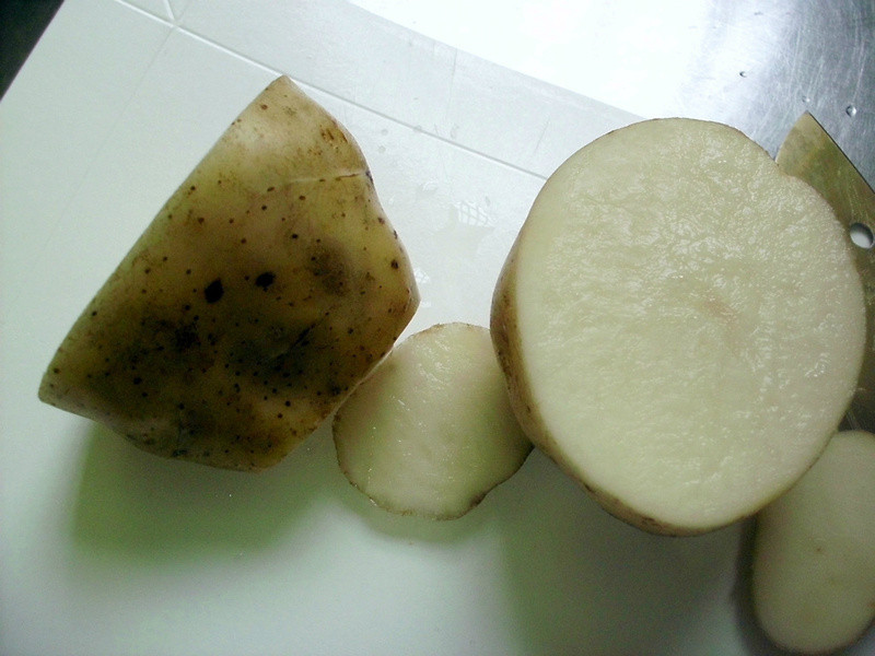 �������������/ά������-��˾�������ѵ�����