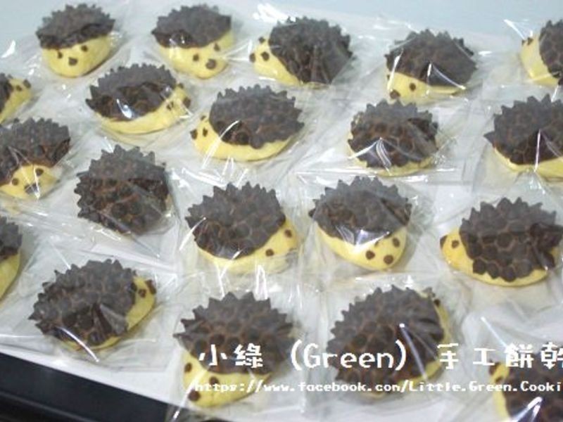 �ɿ�����⬱��ɵ�����