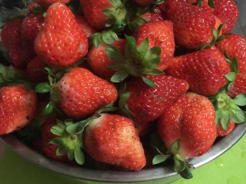 ��������Ĳ�ݮ����������