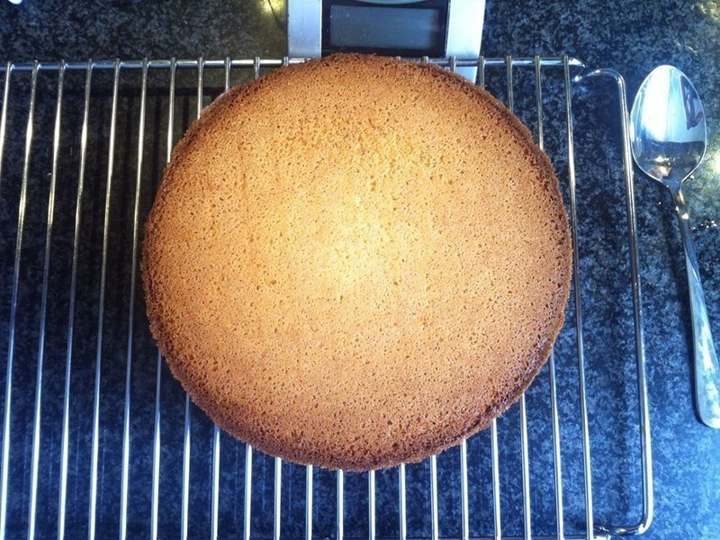 ��ʽ��ݮ���(�Ÿ�)���������