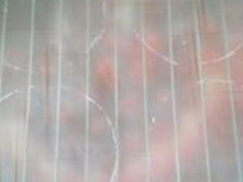 ��ܽ��â����ʿ�������