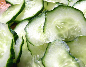 ���ƹ�Ƭ������