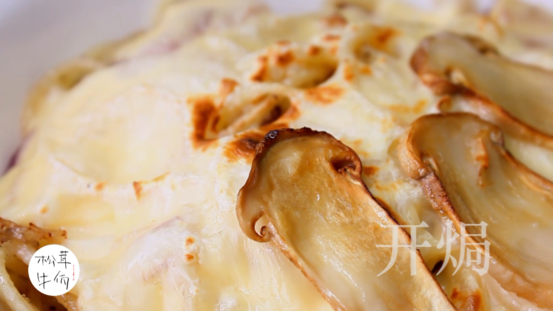 ���׺��ʟh�����ţ������ʳ�׵�����