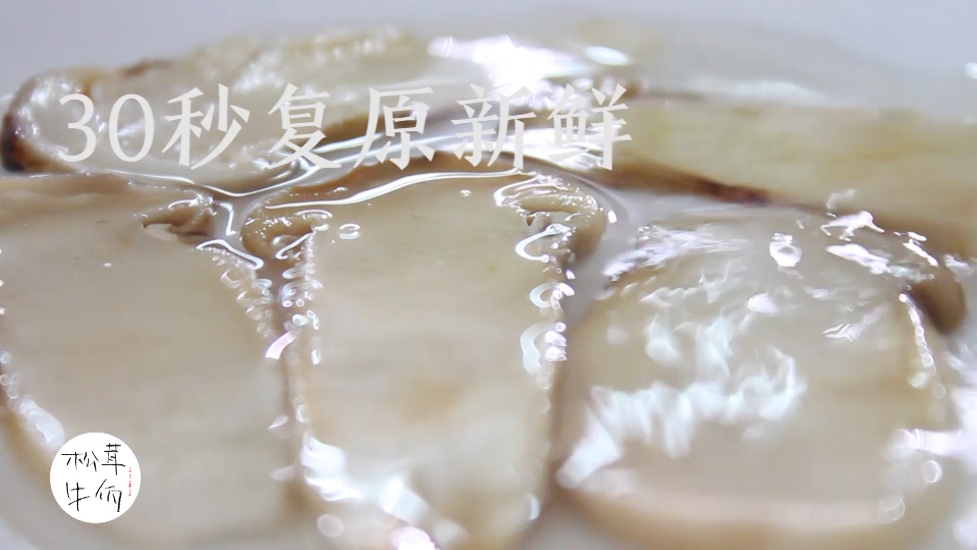 ���׺��ʟh�����ţ������ʳ�׵�����