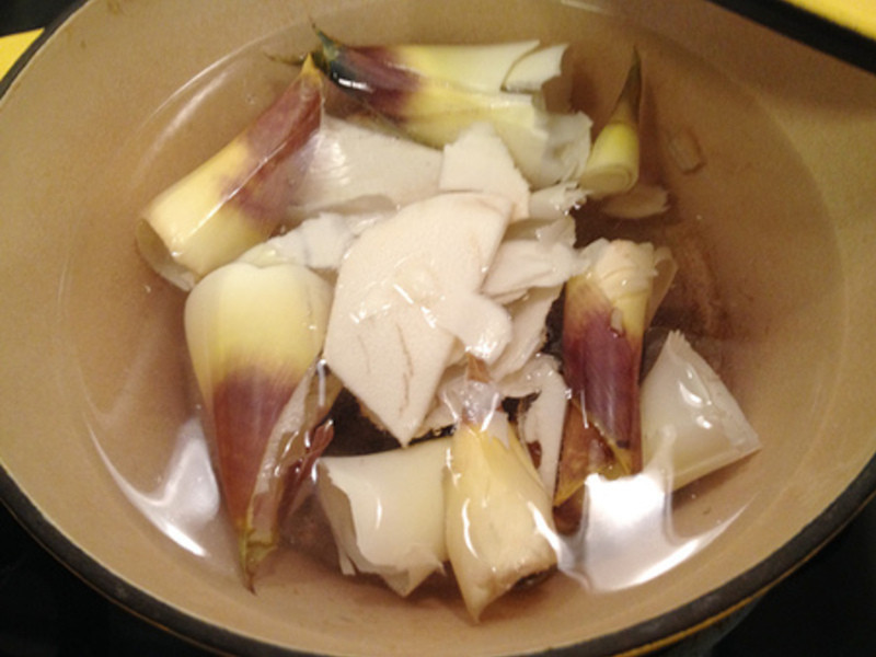 �������ճ���ˬ-���������������