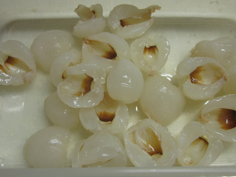 ��֦��������ŵ��C���ݶ���������