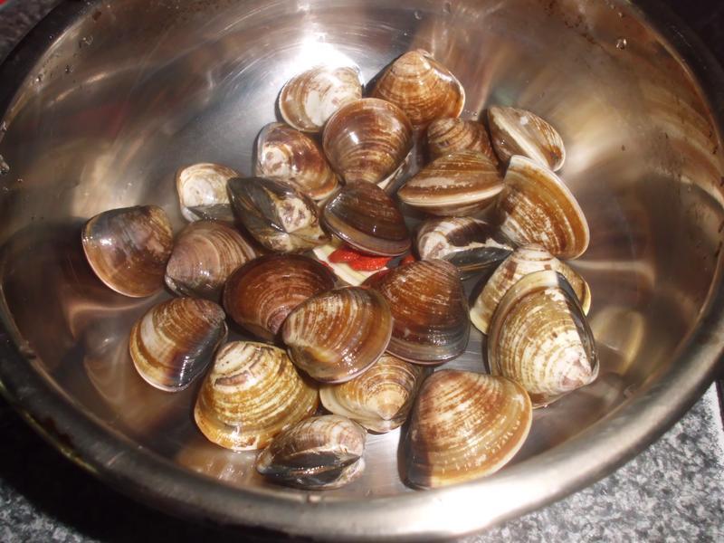 {��������}������轸���˿�ϵ�����