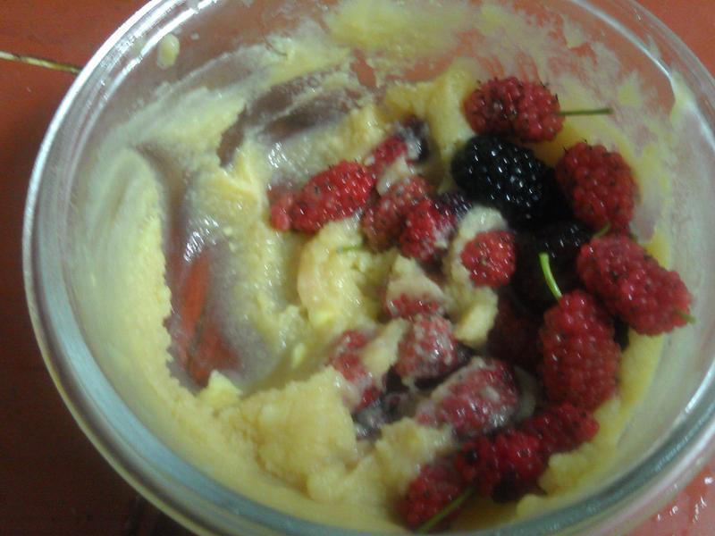 ˫ζ�������������