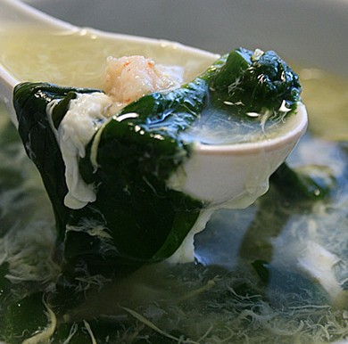 ����Ϻ����������