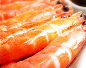 ±���Ϻ������