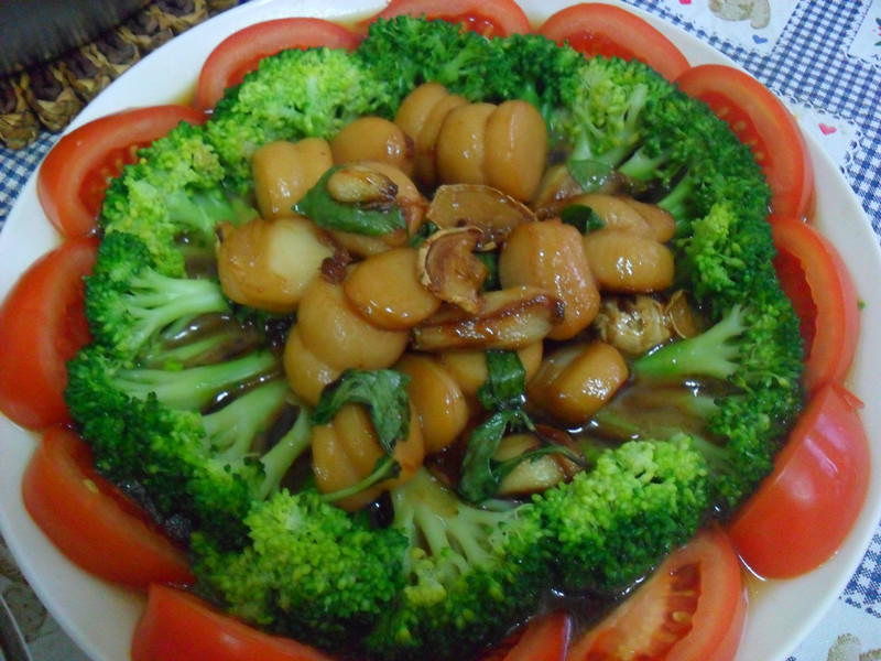 Y�ҵ�С����--�����ɱ�������