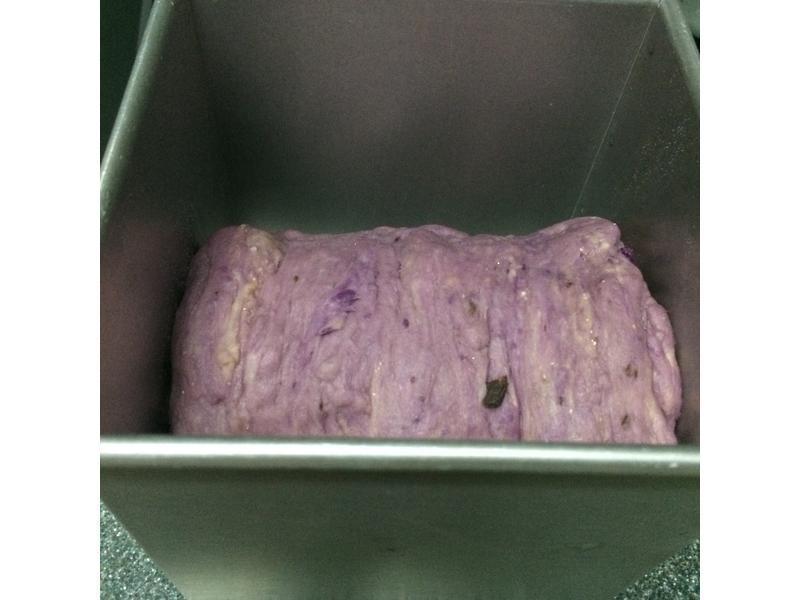 ����ݮ����˾������