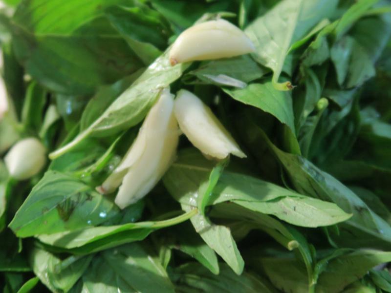 �ུ����ɳ�����������