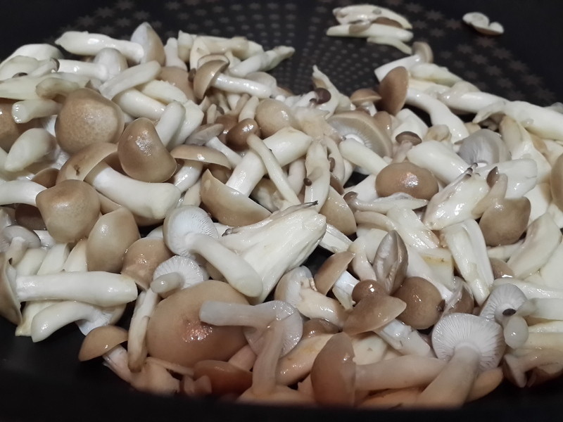 ަ�������˷�������