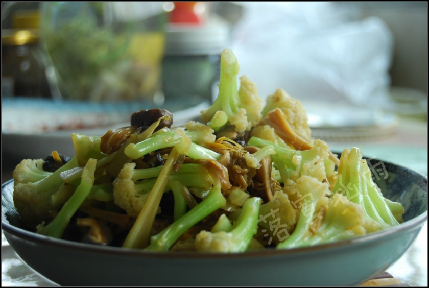 ������ջ�Ҭ�˵�����