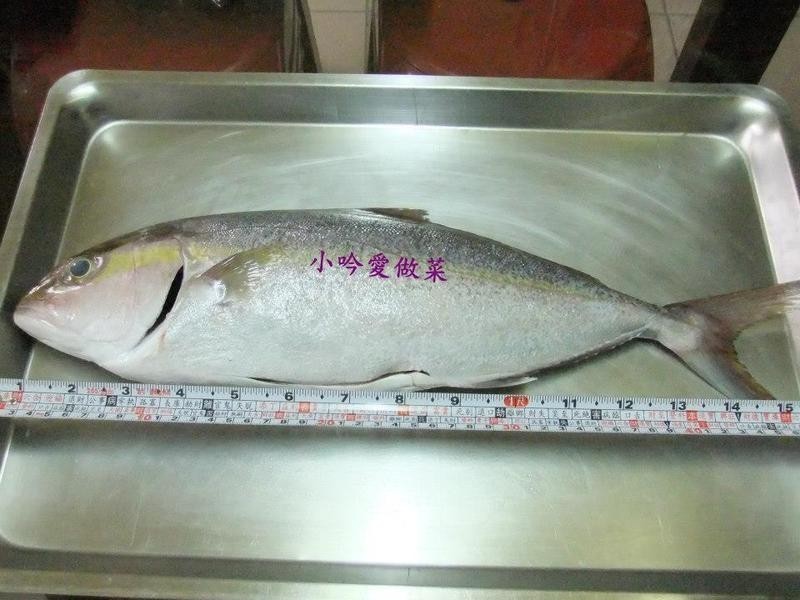 ?С��������?ζ�����������������