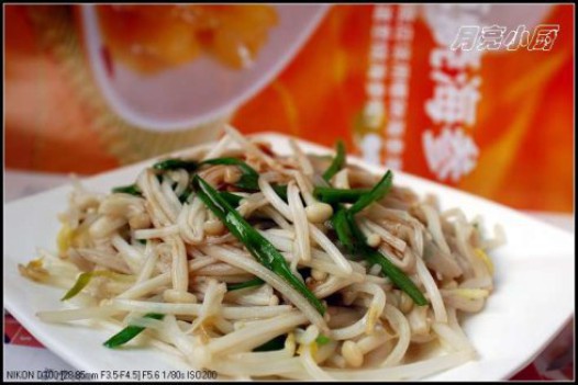 ��ѿ���������