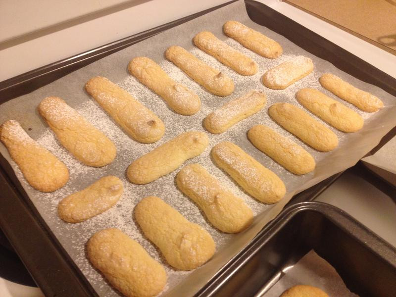 ��ָ�����������յ�����