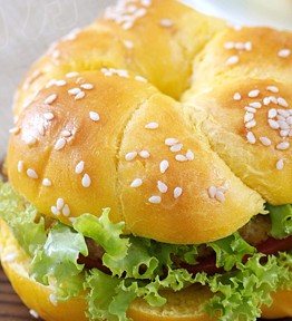 ��ʽ����������