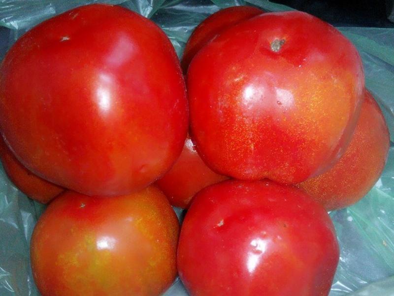 ެ�ѽ�(��ʳ)������